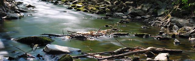 都市神醫葉辰很囂張_第12311章 四神獸（三合一）