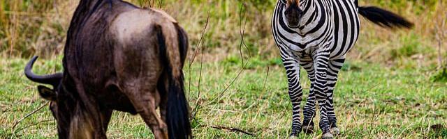 上門龍婿葉辰蕭初然_第2256章 籌款經理