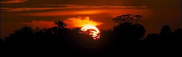 上門龍婿葉辰蕭初然_第427章 真的是你？！