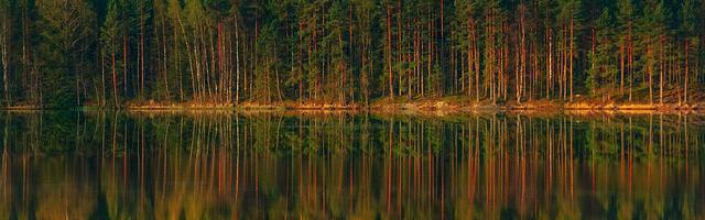 上門龍婿葉辰蕭初然_第278章 可惜他結婚太早