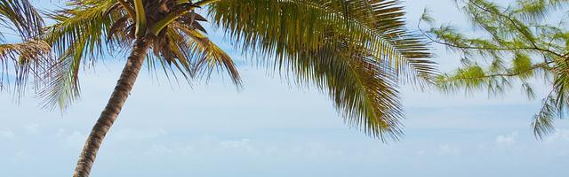 上門龍婿葉辰蕭初然_第387章 一哭二鬧三上吊