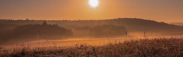 上門龍婿葉辰蕭初然_第3068章 責任與擔當