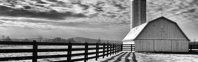 上門龍婿葉辰蕭初然_第1284章 蘇家的困境