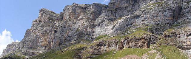 上門龍婿葉辰蕭初然_第2119章 你說了算還是我說了算？