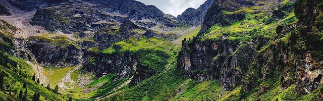 上門龍婿葉辰蕭初然_第42章 葉先生我錯了