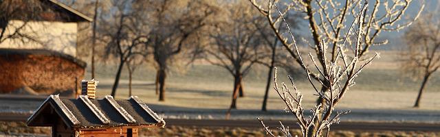 上門龍婿葉辰蕭初然_第129章 神醫施天齊