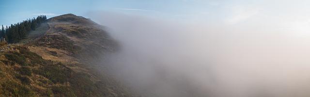 上門龍婿葉辰蕭初然_第745章 小林次郎的合作請求