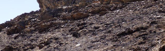 上門龍婿葉辰蕭初然_第3259章 在火海中崩塌！