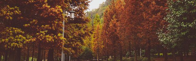 上門龍婿葉辰蕭初然_第2758章 用最快的速度趕去！