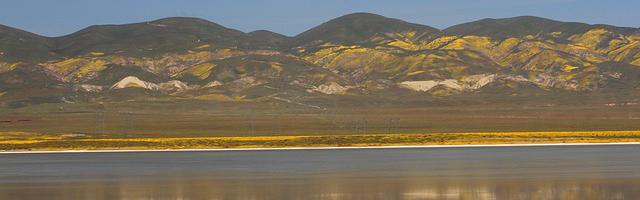 上門龍婿葉辰蕭初然_第2941章 又見周良運