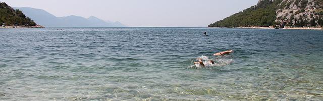 上門龍婿葉辰蕭初然_第3155章 您原來是這個意思