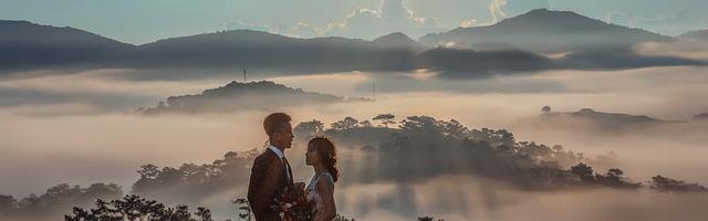 上門龍婿葉辰蕭初然_第3312章 冥頑不靈