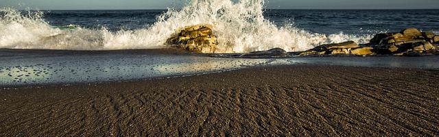 上門龍婿葉辰蕭初然_第95章 號令萬眾！