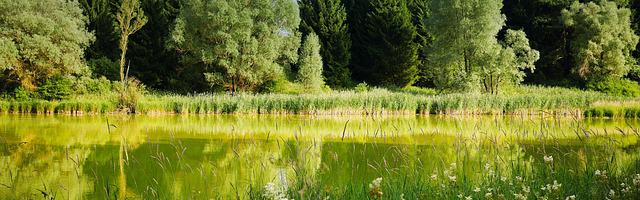 上門龍婿葉辰蕭初然_第2086章 化被動為主動