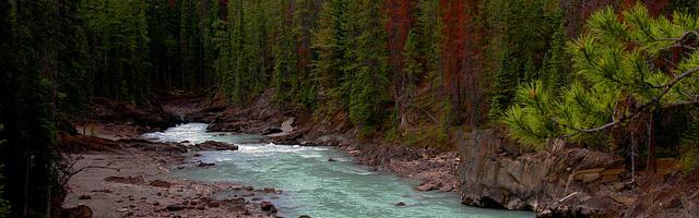 上門龍婿葉辰蕭初然_第69章 死定了