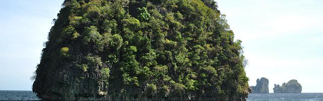 上門龍婿葉辰蕭初然_第46章 轟動全城