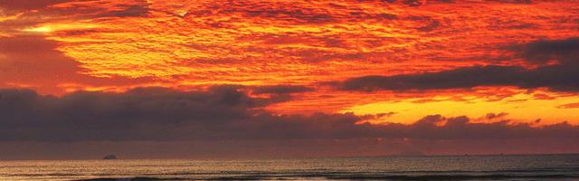 上門龍婿葉辰蕭初然_第81章 登門道歉