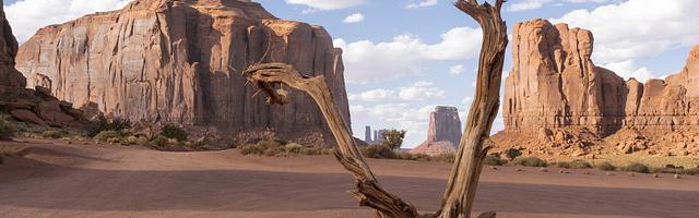 上門龍婿葉辰蕭初然_第133章 果然神醫！