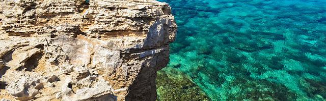 上門龍婿葉辰蕭初然_第1678章 拖出去殺了！