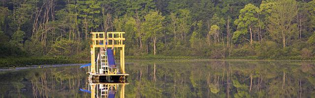 上門龍婿葉辰蕭初然_第210章 至尊VIP