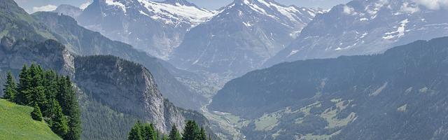 上門龍婿葉辰蕭初然_第571章 還不是為了生存？