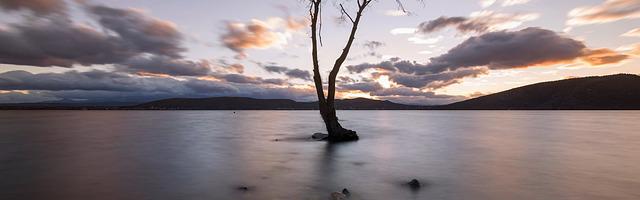 上門龍婿葉辰蕭初然_第2966章 換個方向想一想