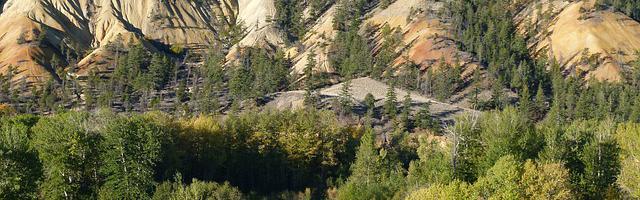 上門龍婿葉辰蕭初然_第3267章 挖地三尺