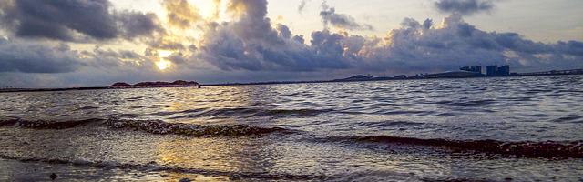 上門龍婿葉辰蕭初然_第1392章 誓死追隨