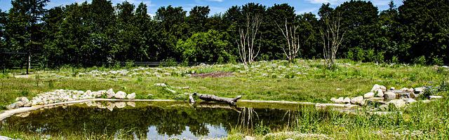 上門龍婿葉辰蕭初然_第2783章 逃亡之路