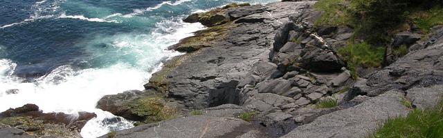 上門龍婿葉辰蕭初然_第11章 邀請董事長