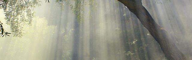 上門龍婿葉辰蕭初然_第597章 你這情況很嚴重