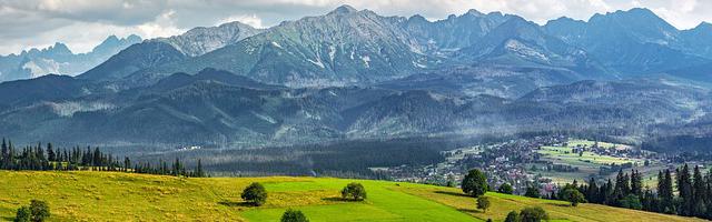 上門龍婿葉辰蕭初然_第3249章 天才中的天才