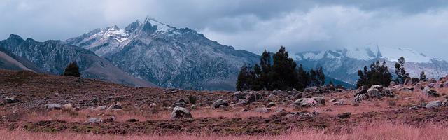 上門龍婿葉辰蕭初然_第483章 重返故地