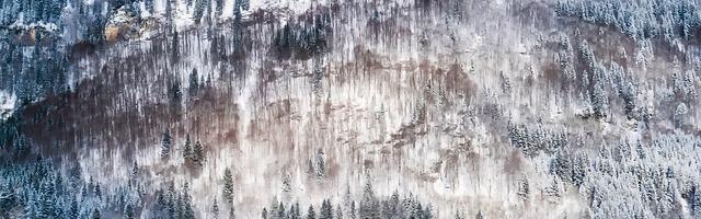 上門龍婿葉辰蕭初然_第2797章 凡心