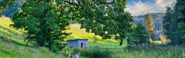 上門龍婿葉辰蕭初然_第785章 陣前殺敵