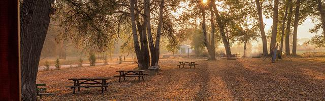 上門龍婿葉辰蕭初然_第2992章 幫我賣賣貨