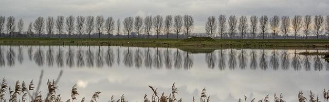 上門龍婿葉辰蕭初然_第1章 受盡屈辱