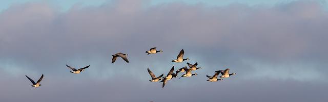 上門龍婿葉辰蕭初然_第1032章 讓葉辰付出代價