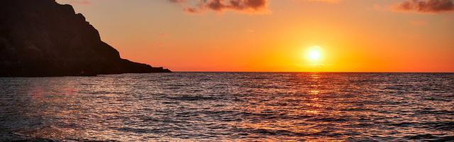 上門龍婿葉辰蕭初然_第246章 坑他一波