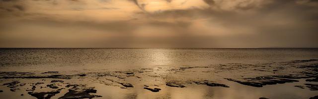 上門龍婿葉辰蕭初然_第2004章 送上門的財神爺