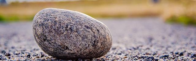 上門龍婿葉辰蕭初然_第1723章 把飛機留下來！