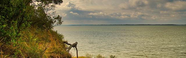 上門龍婿葉辰蕭初然_第507章 幫趙昊一把