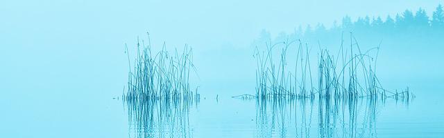 上門龍婿葉辰蕭初然_第401章 賣給我吧！