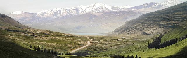 上門龍婿葉辰蕭初然_第1139章 順手幫幫你