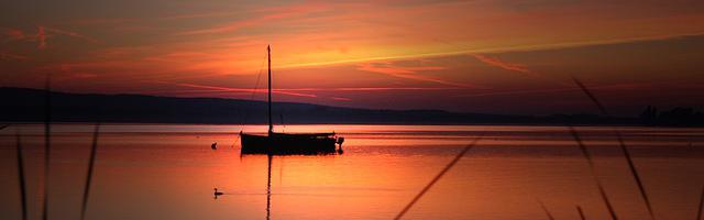 上門龍婿葉辰蕭初然_第3192章 背后有高人