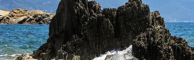 上門龍婿葉辰蕭初然_第1928章 誠信為本！