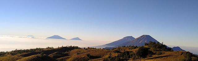 都市神醫葉辰很囂張_第12311章 四神獸（三合一）
