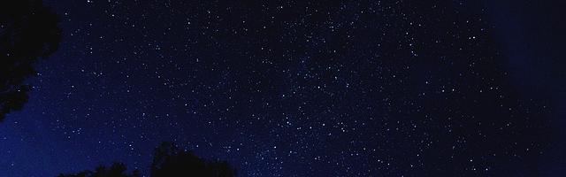 上門龍婿葉辰蕭初然_第2337章 榮幸之至