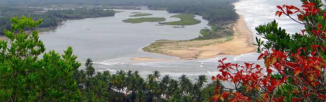 上門龍婿葉辰蕭初然_第1123章 乘勝追擊