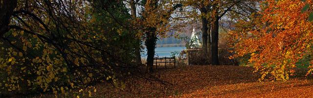 上門龍婿葉辰蕭初然_第2491章 再赴中東